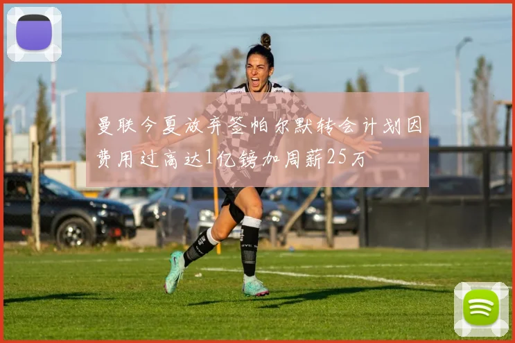 曼联今夏放弃签帕尔默转会计划因费用过高达1亿镑加周薪25万