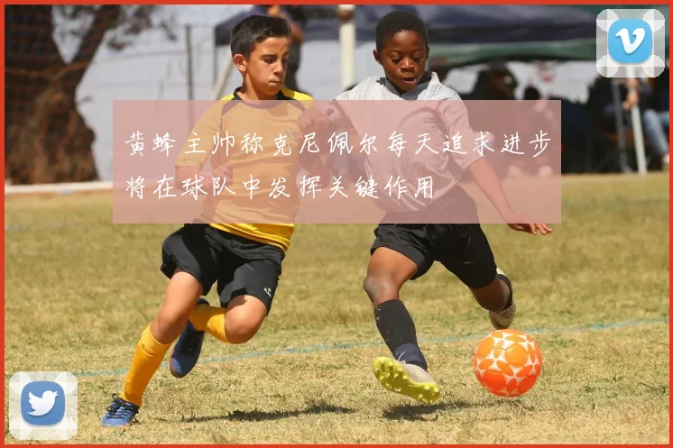 黄蜂主帅称克尼佩尔每天追求进步将在球队中发挥关键作用